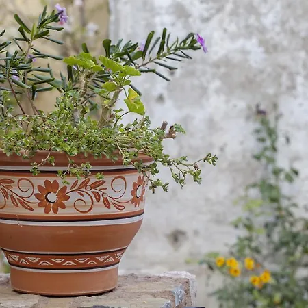 Casa rural Elena Roussa Ekklisia